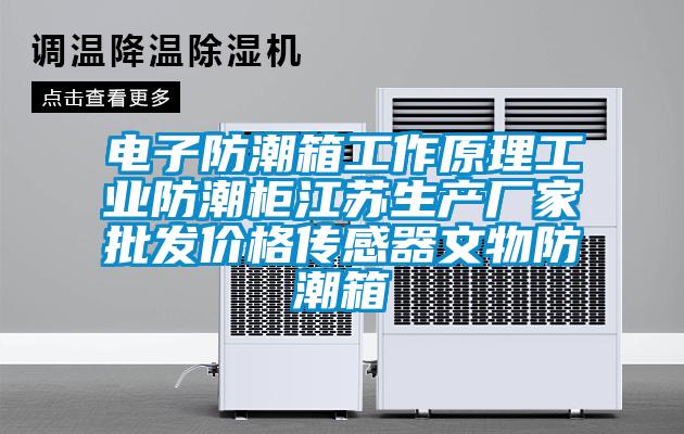 電子防潮箱工作原理工業(yè)防潮柜江蘇生產(chǎn)廠(chǎng)家批發(fā)價(jià)格傳感器文物防潮箱