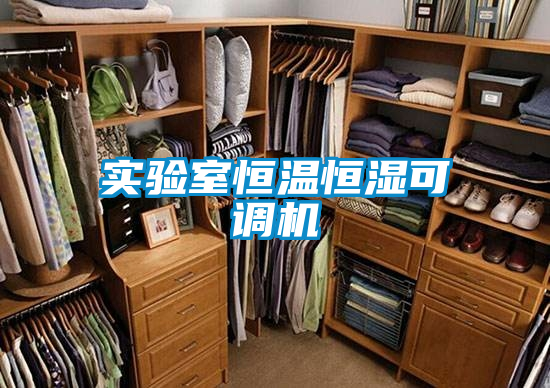 實(shí)驗室恒溫恒濕可調機