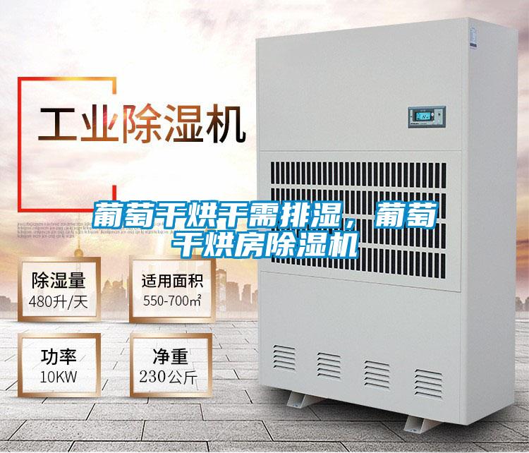 葡萄干烘干需排濕，葡萄干烘房除濕機