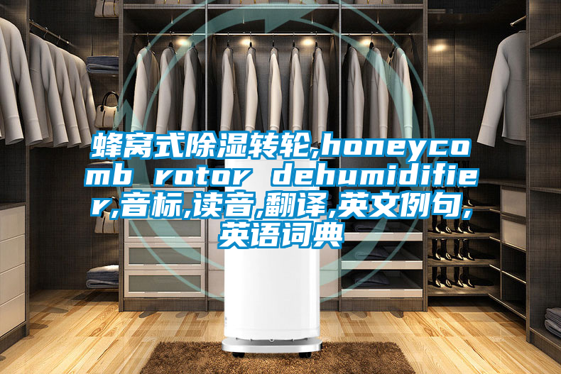 蜂窩式除濕轉輪,honeycomb rotor dehumidifier,音標,讀音,翻譯,英文例句,英語(yǔ)詞典