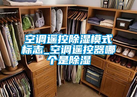 空調遙控除濕模式標志_空調遙控器哪個(gè)是除濕