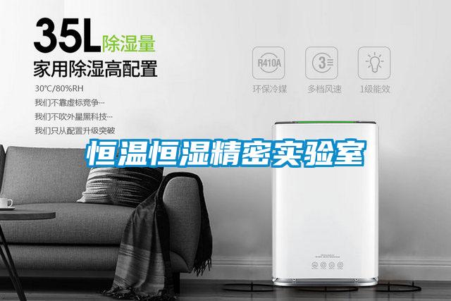 恒溫恒濕精密實(shí)驗室