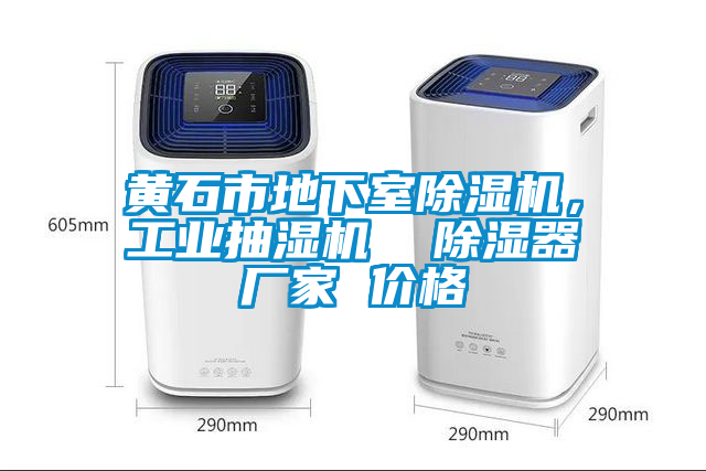 黃石市地下室除濕機，工業(yè)抽濕機  除濕器廠(chǎng)家 價(jià)格