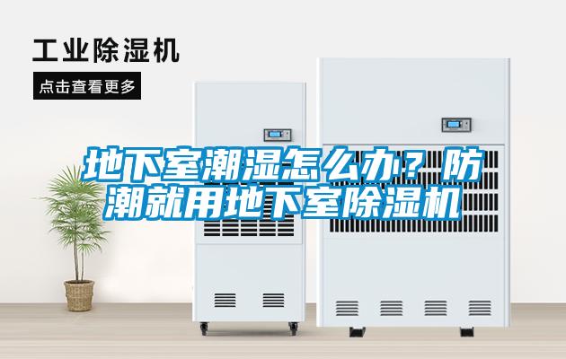 地下室潮濕怎么辦？防潮就用地下室除濕機