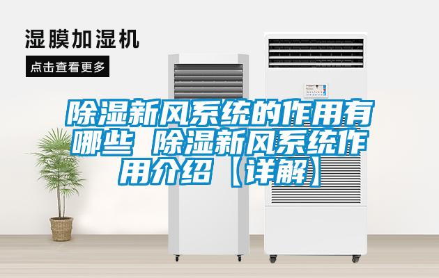 除濕新風(fēng)系統的作用有哪些 除濕新風(fēng)系統作用介紹【詳解】