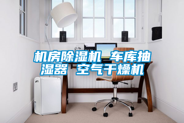 機房除濕機 車(chē)庫抽濕器 空氣干燥機