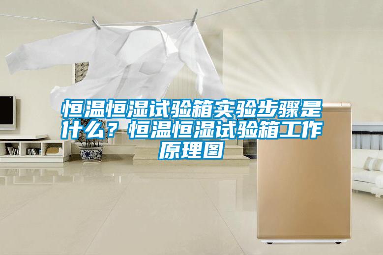 恒溫恒濕試驗箱實(shí)驗步驟是什么？恒溫恒濕試驗箱工作原理圖