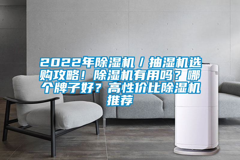 2022年除濕機／抽濕機選購攻略！除濕機有用嗎？哪個(gè)牌子好？高性?xún)r(jià)比除濕機推薦