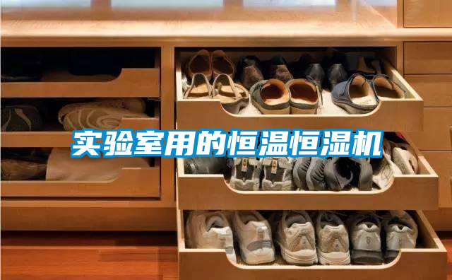 實(shí)驗室用的恒溫恒濕機