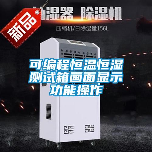 可編程恒溫恒濕測試箱畫(huà)面顯示功能操作