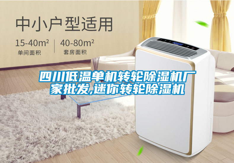 四川低溫單機轉輪除濕機廠(chǎng)家批發(fā),迷你轉輪除濕機