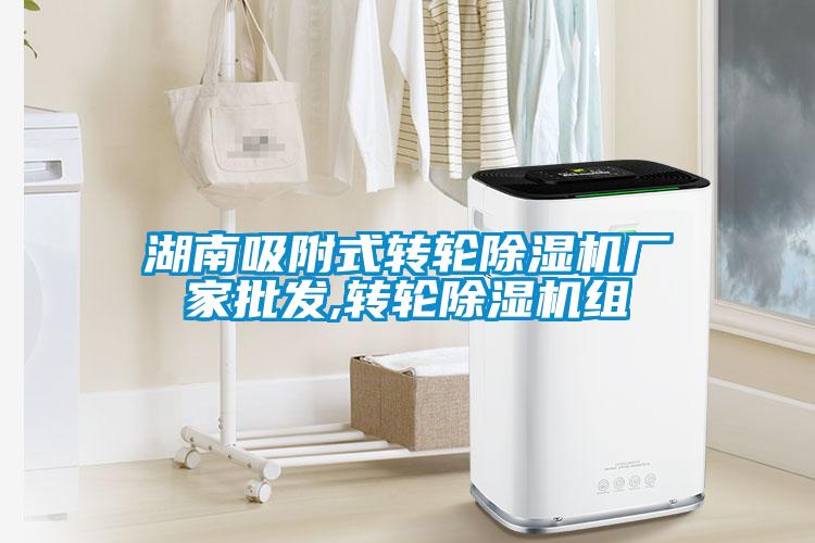 湖南吸附式轉輪除濕機廠(chǎng)家批發(fā),轉輪除濕機組