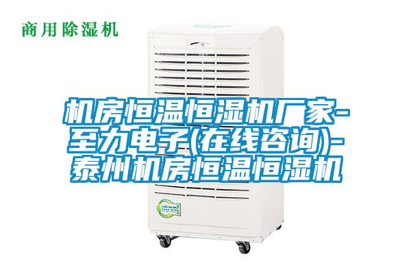 機房恒溫恒濕機廠(chǎng)家-至力電子(在線(xiàn)咨詢(xún))-泰州機房恒溫恒濕機