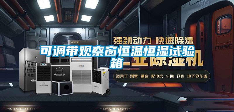 可調帶觀(guān)察窗恒溫恒濕試驗箱