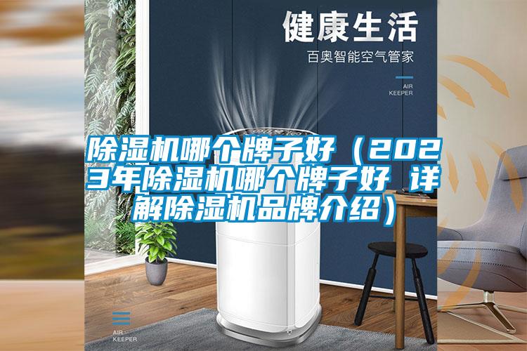 除濕機哪個(gè)牌子好（2023年除濕機哪個(gè)牌子好 詳解除濕機品牌介紹）