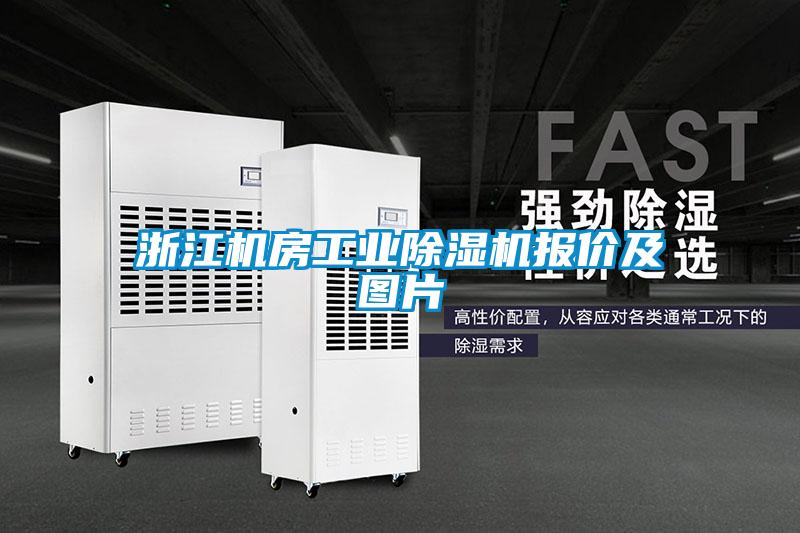 浙江機房工業(yè)除濕機報價(jià)及圖片