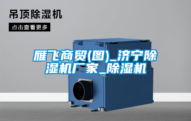 雁飛商貿(圖)_濟寧除濕機廠(chǎng)家_除濕機