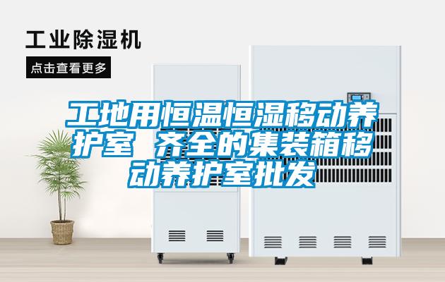 工地用恒溫恒濕移動(dòng)養護室 齊全的集裝箱移動(dòng)養護室批發(fā)