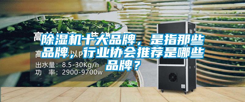 除濕機十大品牌，是指那些品牌，行業(yè)協(xié)會(huì )推薦是哪些品牌？