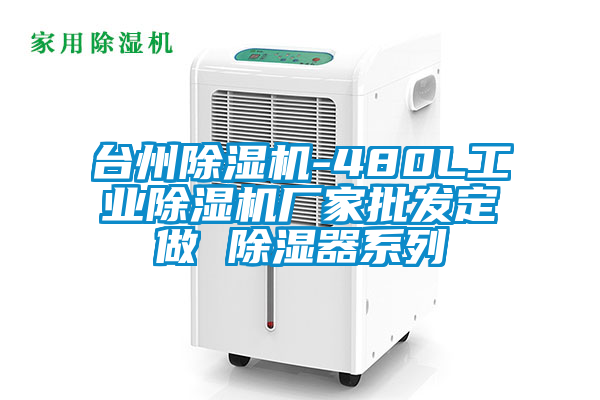 臺州除濕機-480L工業(yè)除濕機廠(chǎng)家批發(fā)定做 除濕器系列