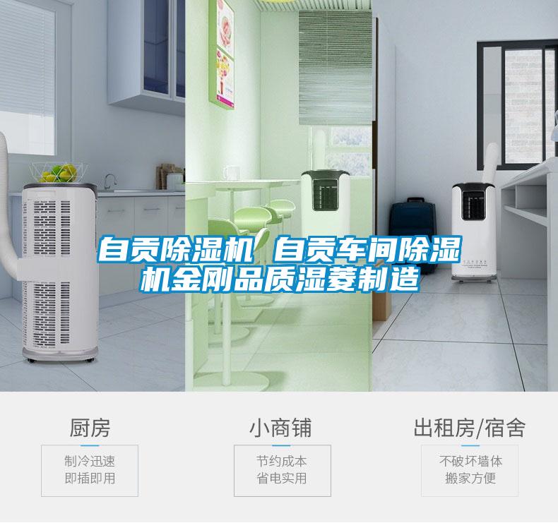 自貢除濕機 自貢車(chē)間除濕機金剛品質(zhì)濕菱制造