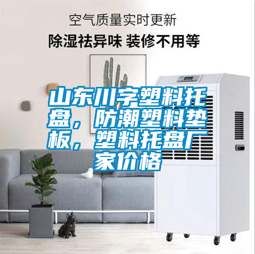 山東川字塑料托盤(pán)，防潮塑料墊板，塑料托盤(pán)廠(chǎng)家價(jià)格