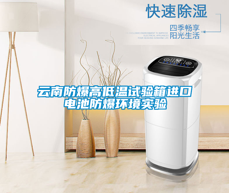 云南防爆高低溫試驗箱進(jìn)口電池防爆環(huán)境實(shí)驗