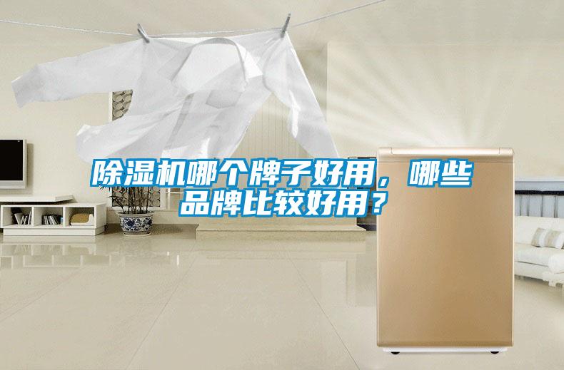除濕機哪個(gè)牌子好用，哪些品牌比較好用？