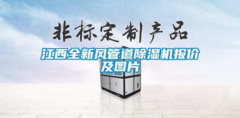 江西全新風(fēng)管道除濕機報價(jià)及圖片