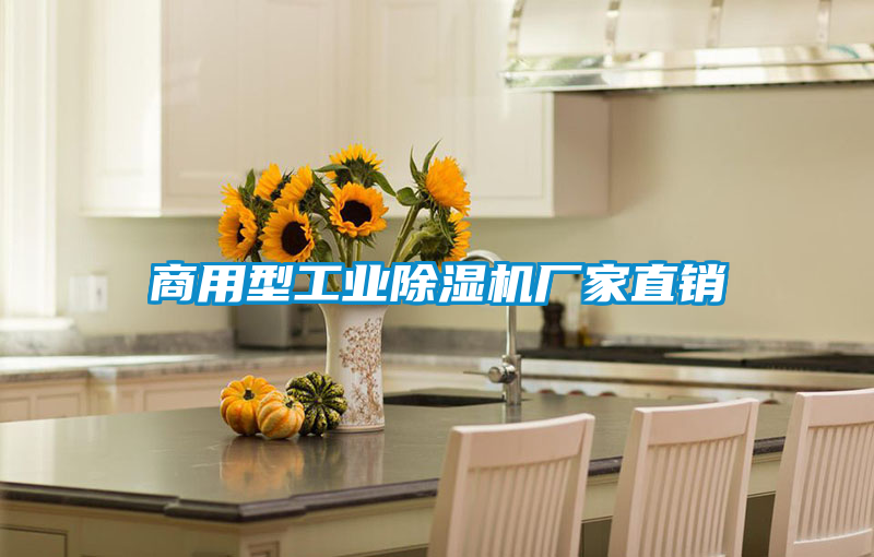 商用型工業(yè)除濕機廠(chǎng)家直銷(xiāo)