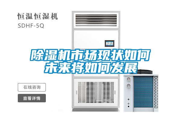 除濕機市場(chǎng)現狀如何未來(lái)將如何發(fā)展