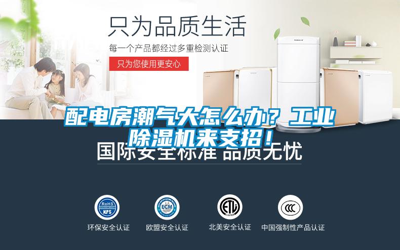 配電房潮氣大怎么辦？工業(yè)除濕機來(lái)支招！