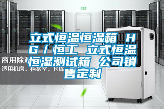 立式恒溫恒濕箱 HG／恒工 立式恒溫恒濕測試箱 公司銷(xiāo)售定制