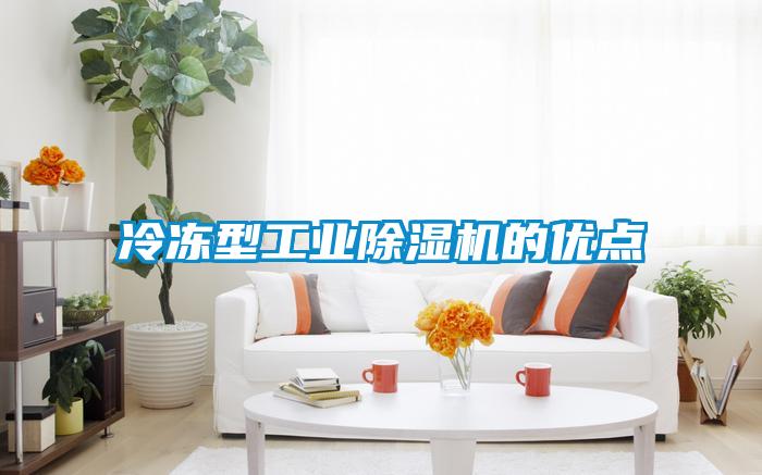 冷凍型工業(yè)除濕機的優(yōu)點(diǎn)