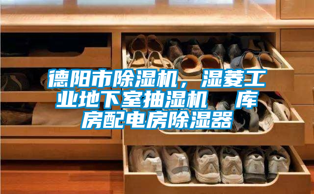 德陽(yáng)市除濕機，濕菱工業(yè)地下室抽濕機  庫房配電房除濕器