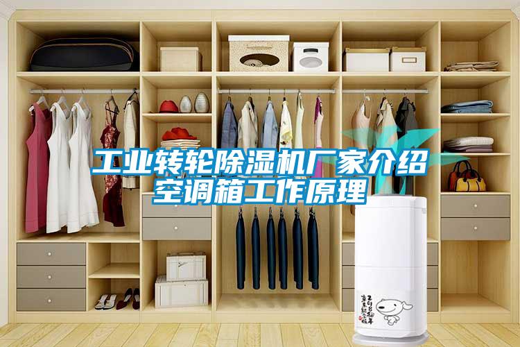 工業(yè)轉輪除濕機廠(chǎng)家介紹空調箱工作原理