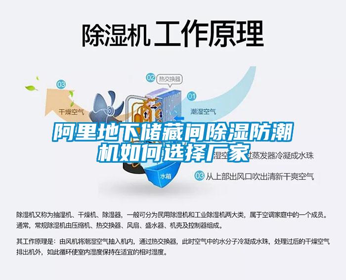 阿里地下儲藏間除濕防潮機如何選擇廠(chǎng)家