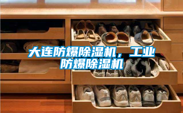 大連防爆除濕機，工業(yè)防爆除濕機