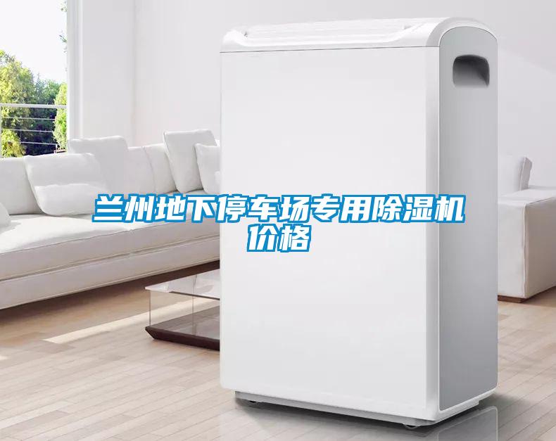 蘭州地下停車(chē)場(chǎng)專(zhuān)用除濕機價(jià)格