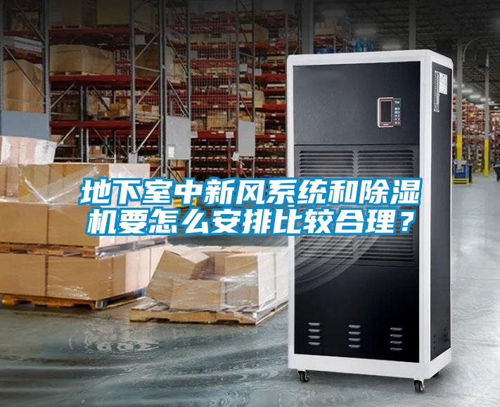 地下室中新風(fēng)系統和除濕機要怎么安排比較合理？