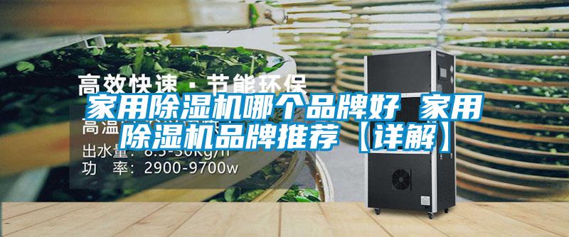 家用除濕機哪個(gè)品牌好 家用除濕機品牌推薦【詳解】