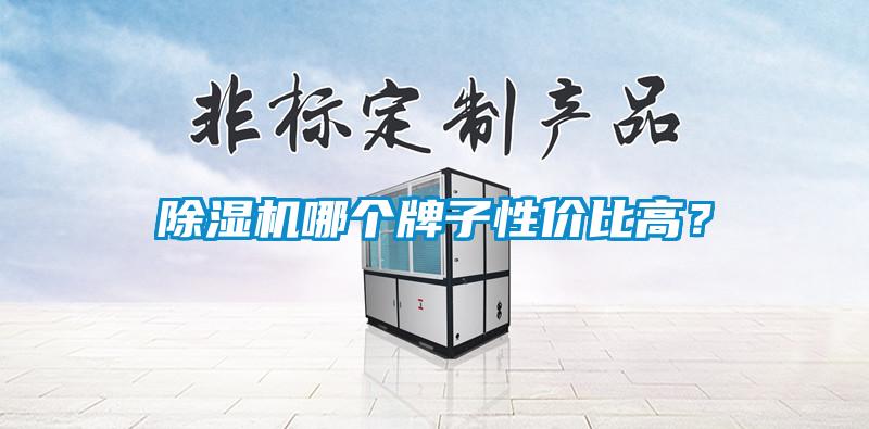 除濕機哪個(gè)牌子性?xún)r(jià)比高？