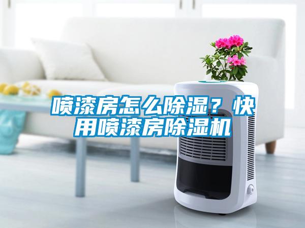 噴漆房怎么除濕？快用噴漆房除濕機