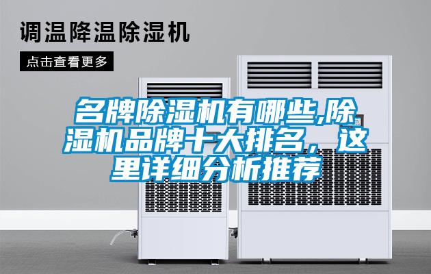 名牌除濕機有哪些,除濕機品牌十大排名，這里詳細分析推薦