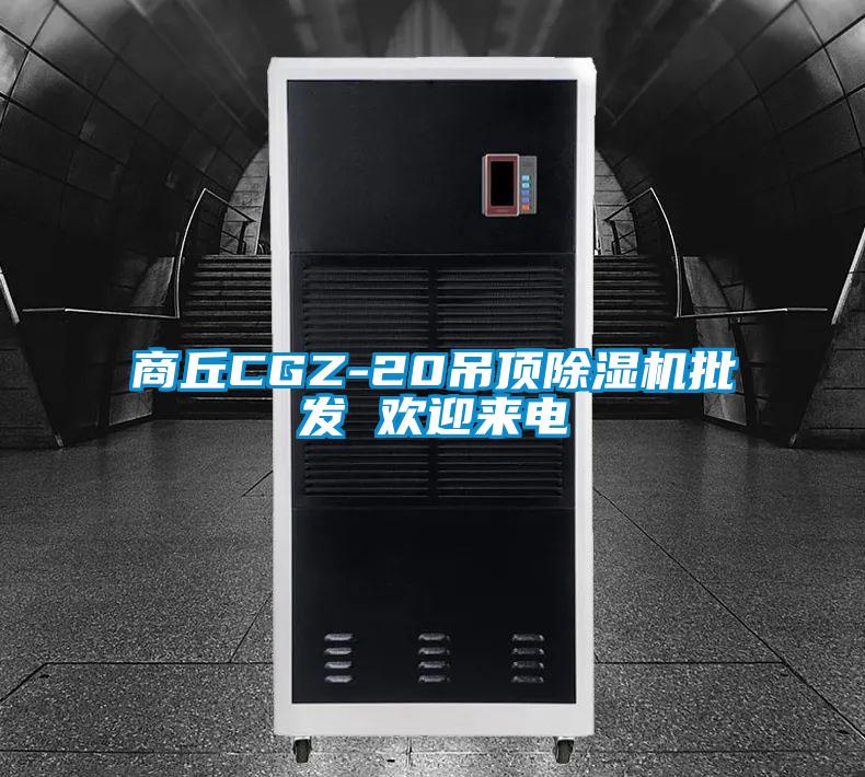 商丘CGZ-20吊頂除濕機批發(fā) 歡迎來(lái)電