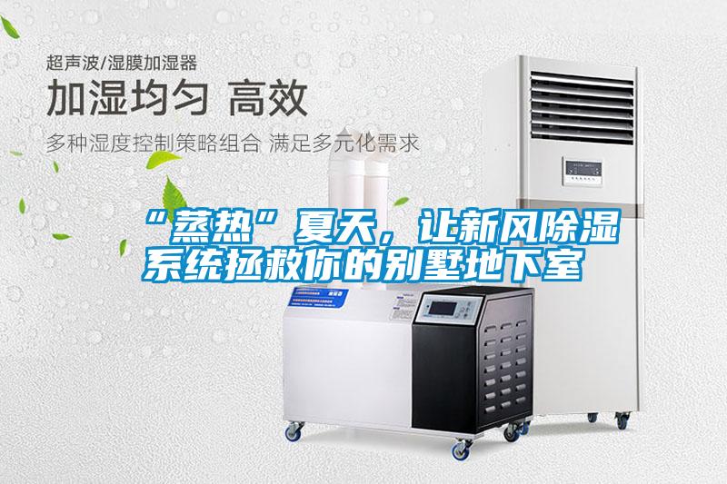 “蒸熱”夏天，讓新風(fēng)除濕系統拯救你的別墅地下室