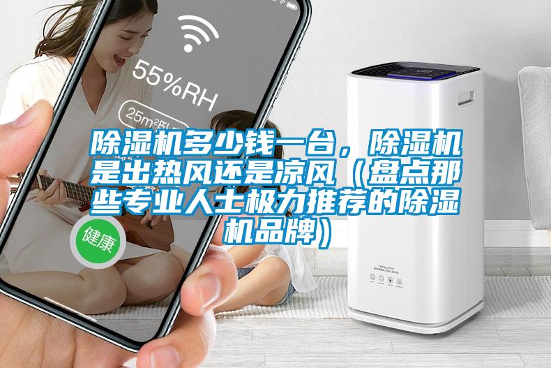 除濕機多少錢(qián)一臺，除濕機是出熱風(fēng)還是涼風(fēng)（盤(pán)點(diǎn)那些專(zhuān)業(yè)人士極力推薦的除濕機品牌）
