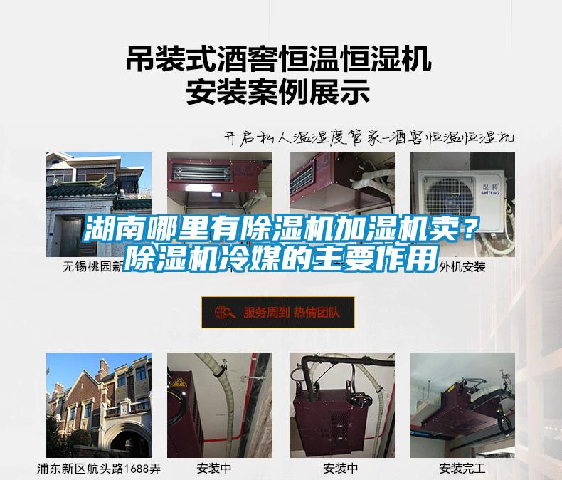 湖南哪里有除濕機加濕機賣(mài)？除濕機冷媒的主要作用