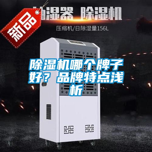 除濕機哪個(gè)牌子好？品牌特點(diǎn)淺析
