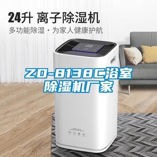 ZD-8138C浴室除濕機廠(chǎng)家